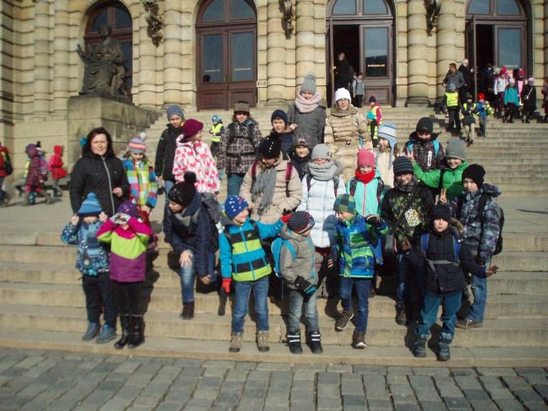 Tučňáci v Rudolfinu jako živí_zájezd NH 14. 2. 2017